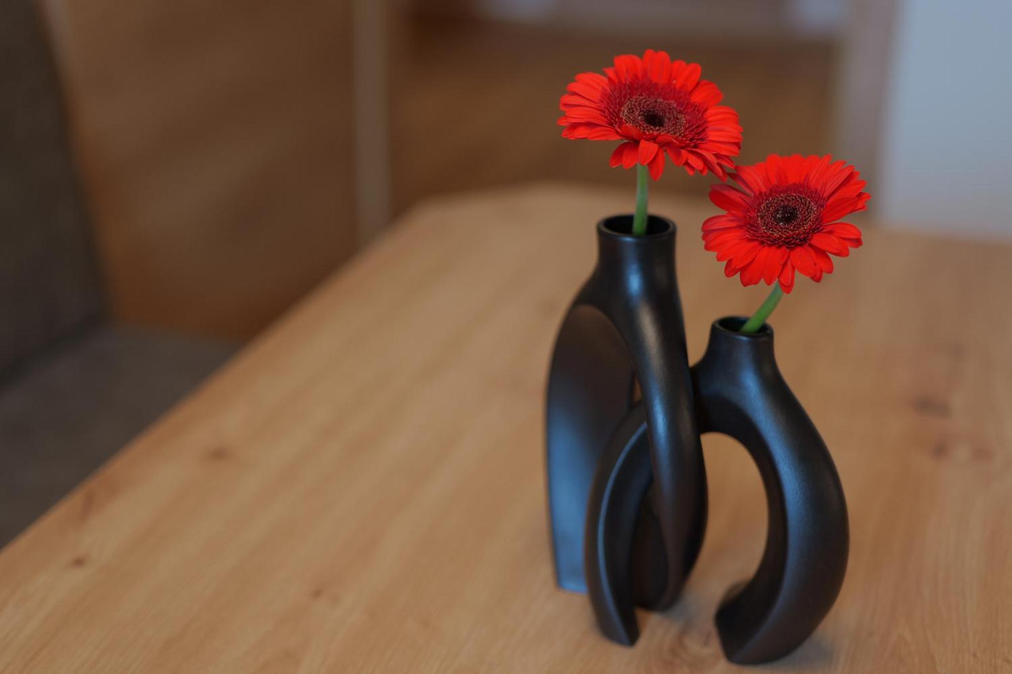 Kasparbauer Farm stay Radstadt
